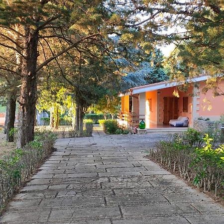 Nature, Memories And Garden Shower At Casa Del Castello Castel Del Monte  Ngoại thất bức ảnh